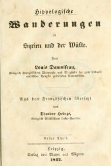 Hippologische Wanderungen in Syrien und der Wüste