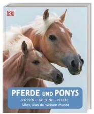 Pferde und Ponys