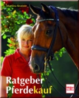Ratgeber Pferdekauf